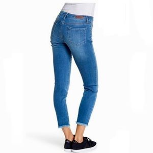 Articles of Society Carly Crop in Del Mar